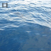 Picture 045